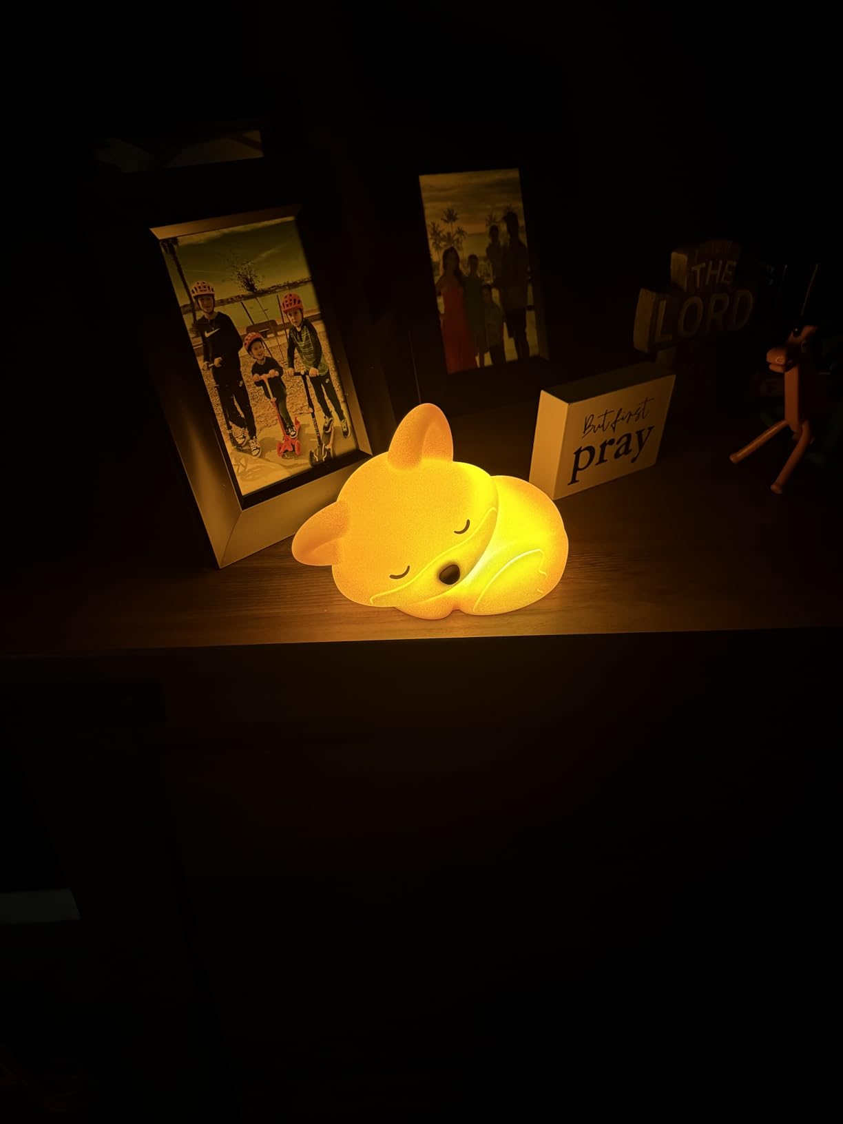 Sleeping Fox Night Light