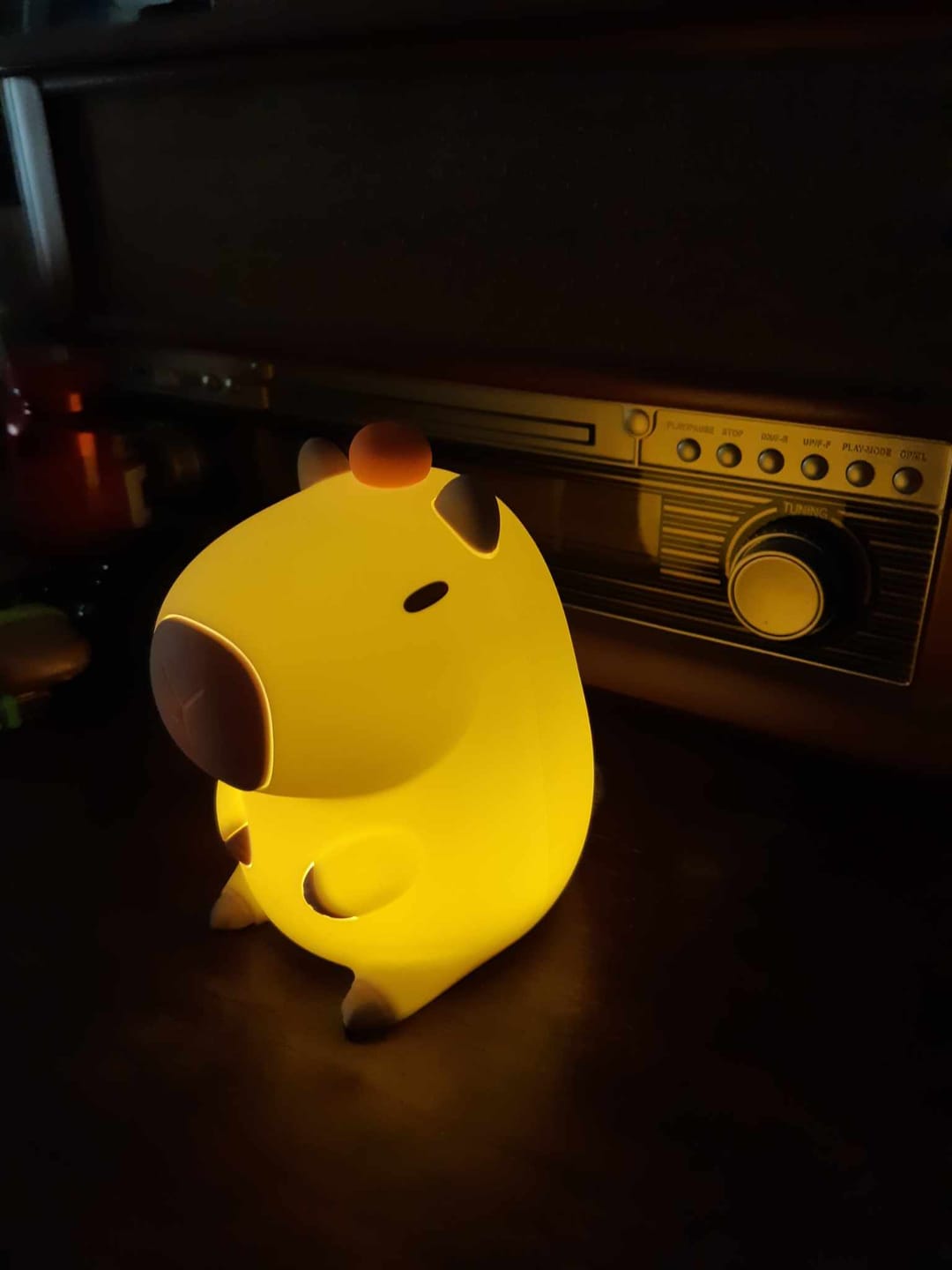 Capybara Night Light