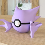 Pokémon Poké Ball Shape Collection