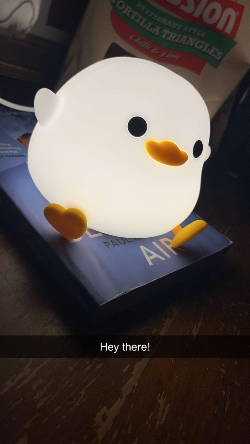 Chubby Duck Night Lamp